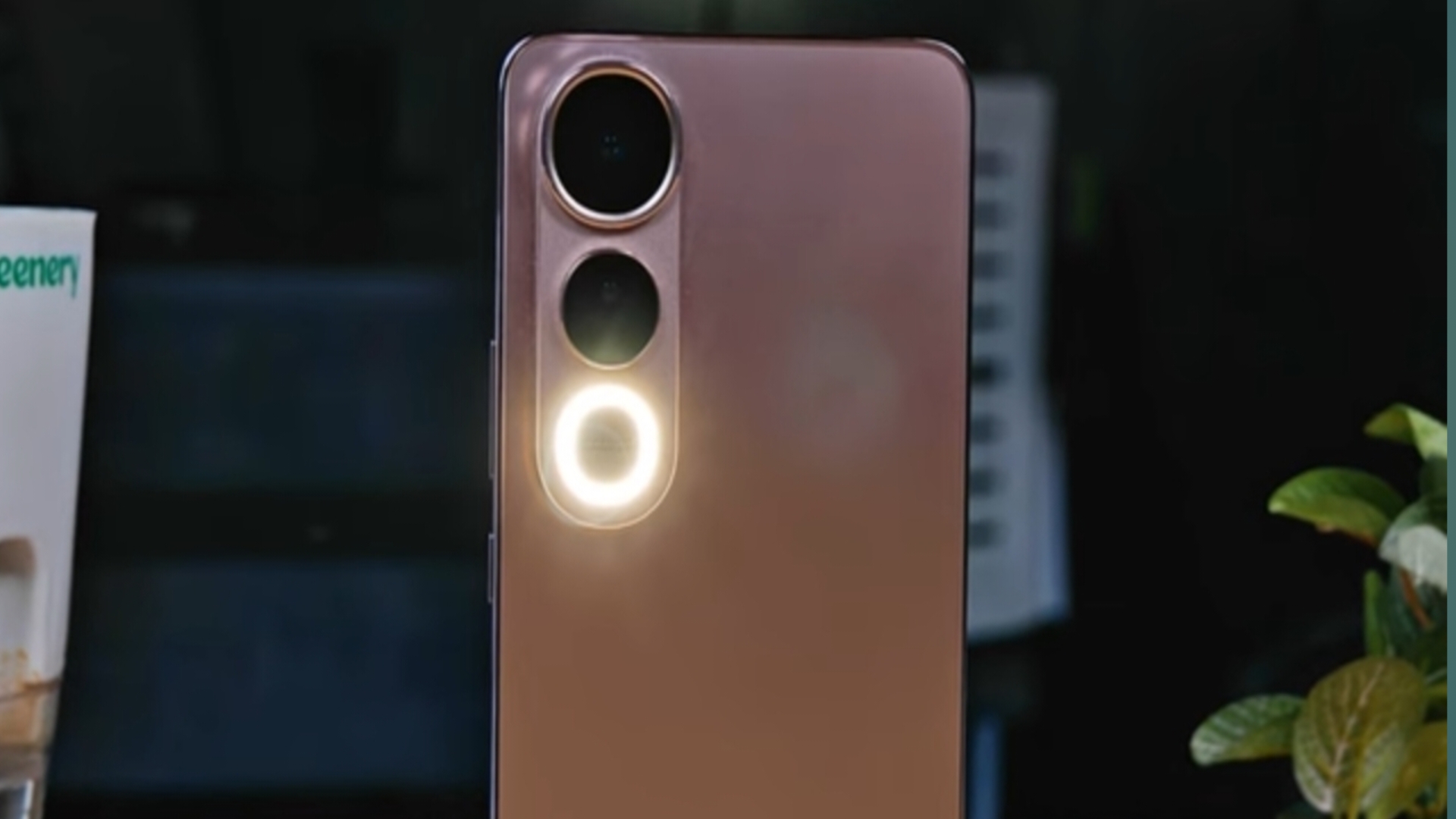 Vivo V50 5G